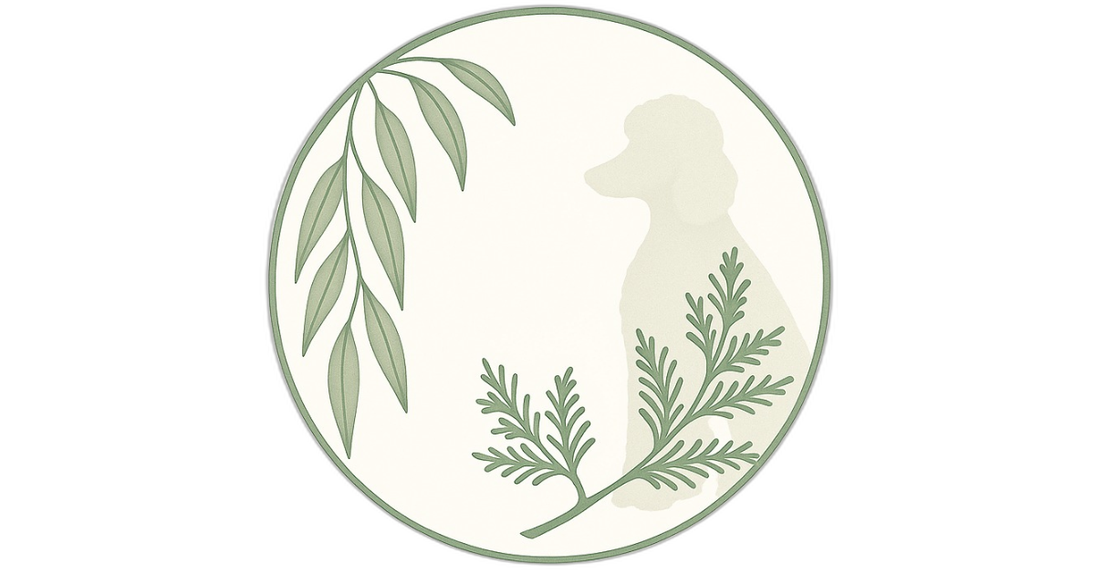 The Cedar Light & Willow Circle